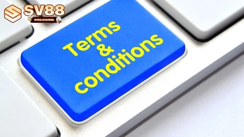 Điều Khoản Khuyến Mãi